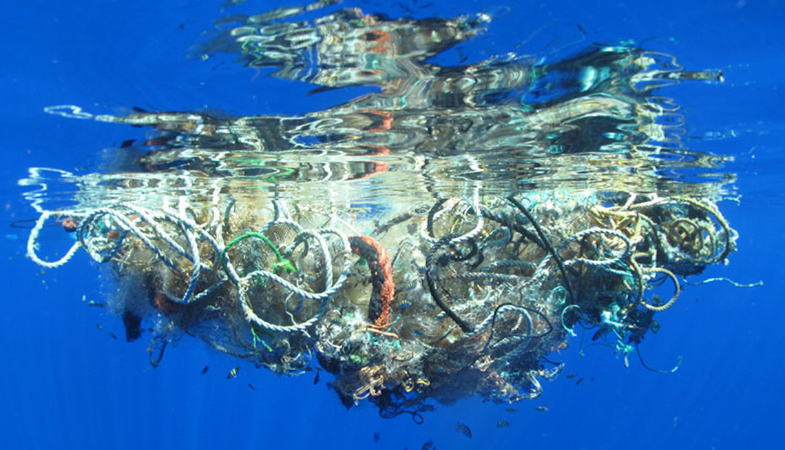 Plastic Soup